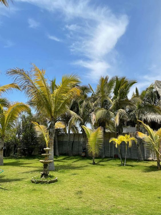 Tropical Boutique Homes & Beachfront Escapes image 2